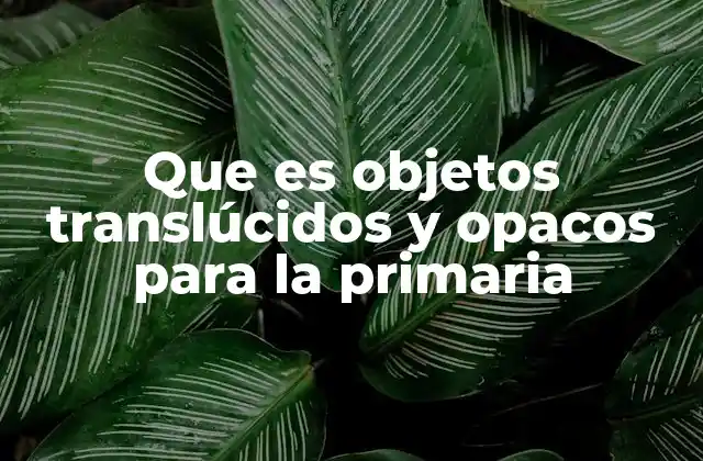 Que es Objetos Translúcidos y Opacos para la Primaria