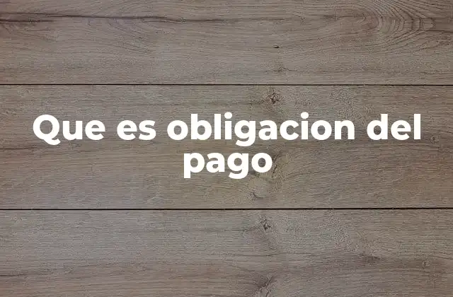 Que es Obligacion Del Pago