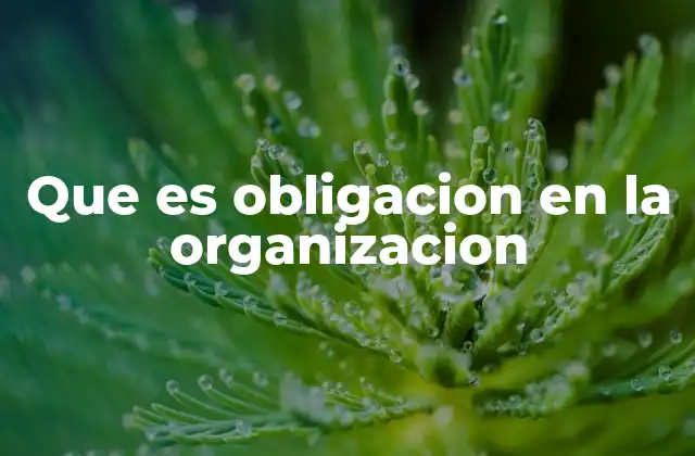 Que es Obligacion en la Organizacion