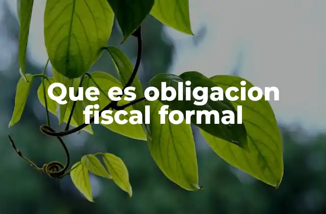 Que es Obligacion Fiscal Formal