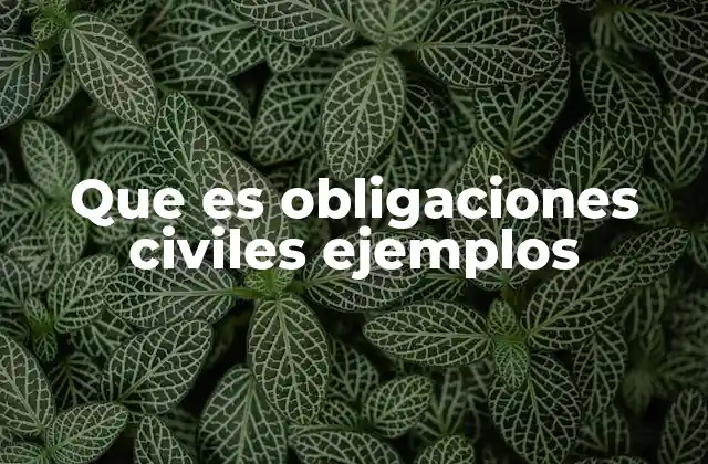 Que es Obligaciones Civiles Ejemplos