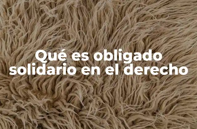 Qué es Obligado Solidario en el Derecho