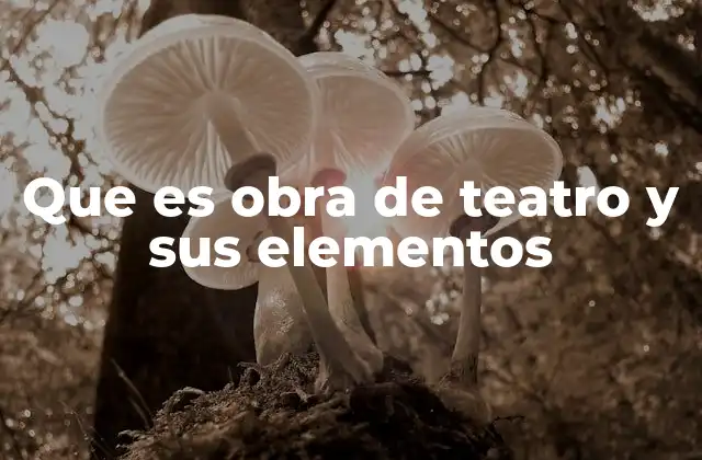 Que es Obra de Teatro y Sus Elementos 2 La base de toda representación escénica