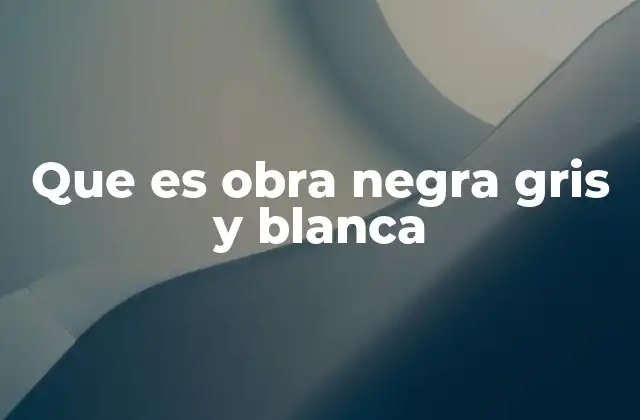 Que es Obra Negra Gris y Blanca