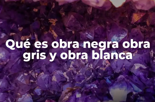 Qué es Obra Negra Obra Gris y Obra Blanca