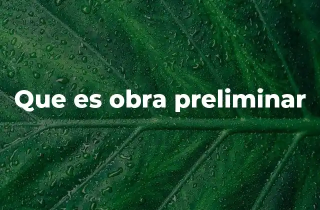 Importancia de las obras preliminares en la construcción