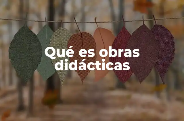 Qué es Obras Didácticas