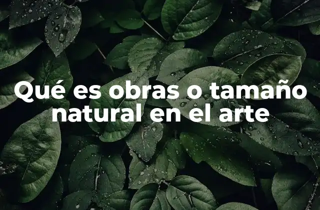 Qué es Obras o Tamaño Natural en el Arte