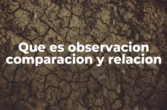 Cómo se aplican estas habilidades en la educación formal