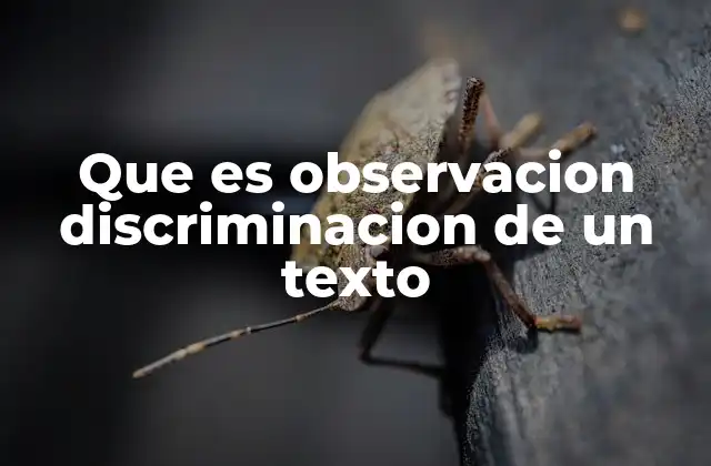 Que es Observacion Discriminacion de un Texto
