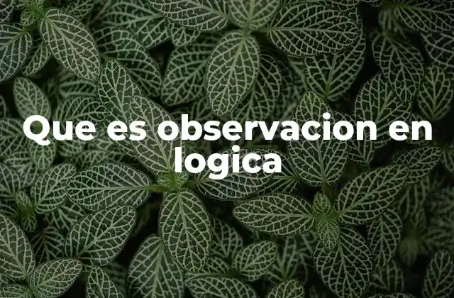 Que es Observacion en Logica