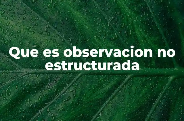 Que es Observacion No Estructurada