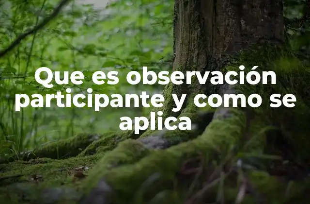 Que es Observación Participante y como Se Aplica 2 La observación participante en la investigación social