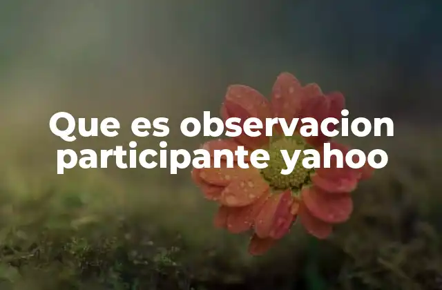 Que es Observacion Participante Yahoo