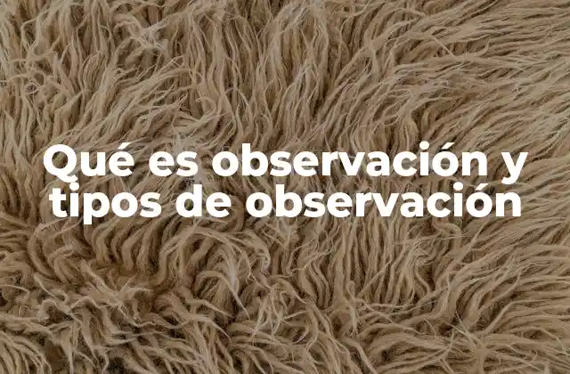 Qué es Observación y Tipos de Observación