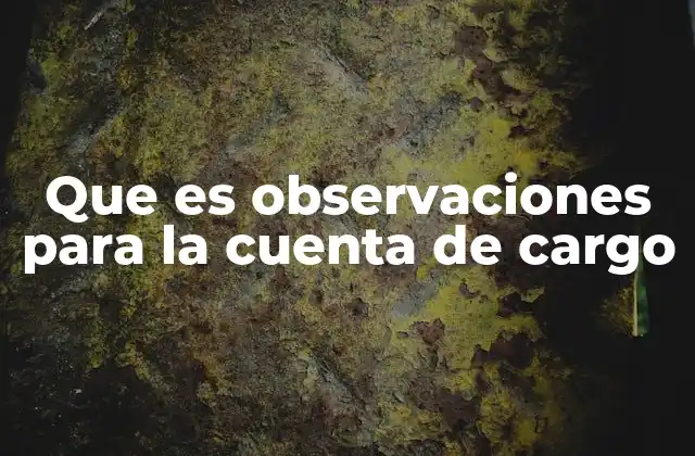 Que es Observaciones para la Cuenta de Cargo