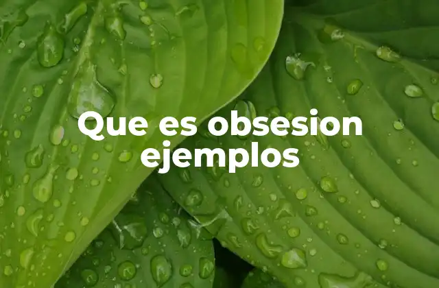 Que es Obsesion Ejemplos