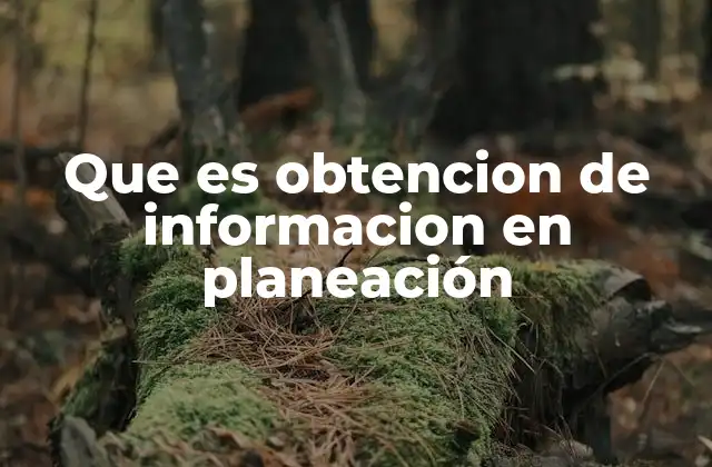 El papel de la información en la toma de decisiones estratégicas