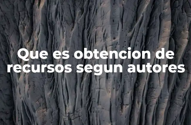 Que es Obtencion de Recursos Segun Autores