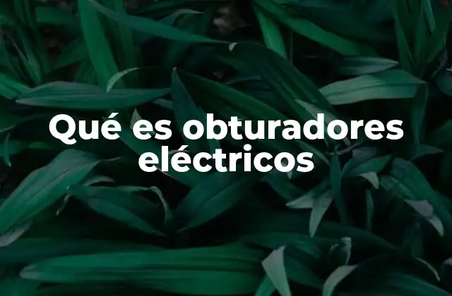 Qué es Obturadores Eléctricos