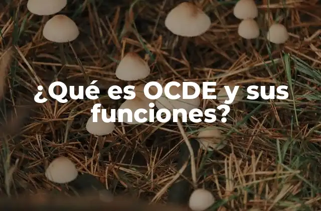 ¿qué es Ocde y Sus Funciones?