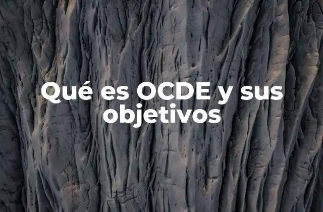 Qué es Ocde y Sus Objetivos
