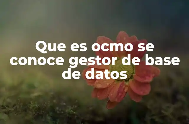 Que es Ocmo Se Conoce Gestor de Base de Datos