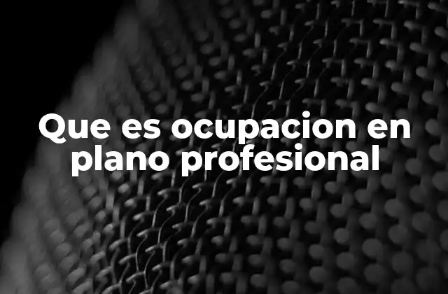 Que es Ocupacion en Plano Profesional