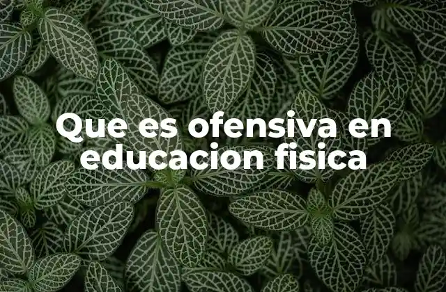 Que es Ofensiva en Educacion Fisica