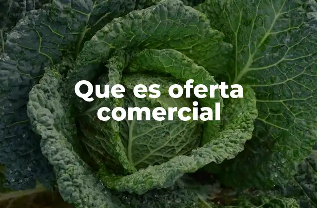 Que es Oferta Comercial