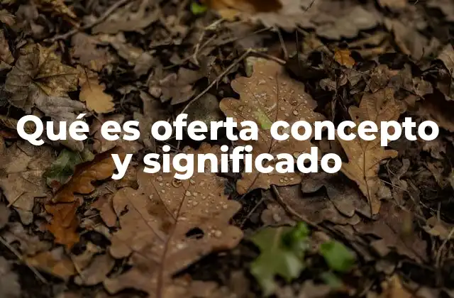Qué es Oferta Concepto y Significado