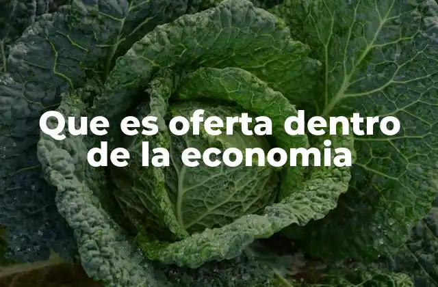 Que es Oferta Dentro de la Economia