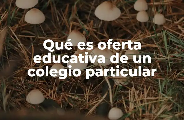 Qué es Oferta Educativa de un Colegio Particular