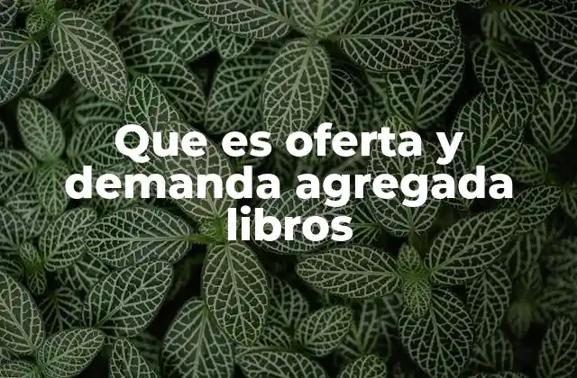 La importancia de entender la oferta y demanda agregada en el contexto económico