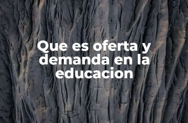 Que es Oferta y Demanda en la Educacion