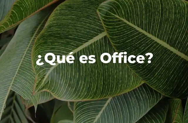 La importancia de Office en la vida moderna
