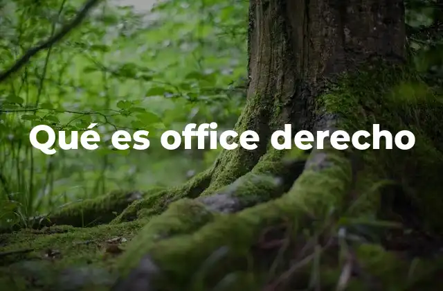 Qué es Office Derecho