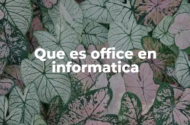Que es Office en Informatica