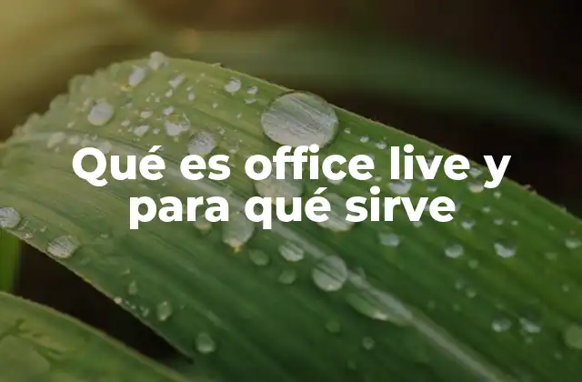 Qué es Office Live y para Qué Sirve