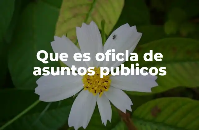Que es Oficla de Asuntos Publicos