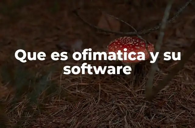 Que es Ofimatica y Su Software