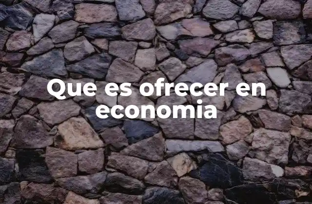 Que es Ofrecer en Economia