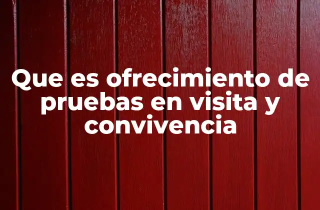 Que es Ofrecimiento de Pruebas en Visita y Convivencia