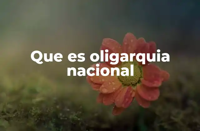 Que es Oligarquia Nacional