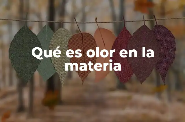 Qué es Olor en la Materia