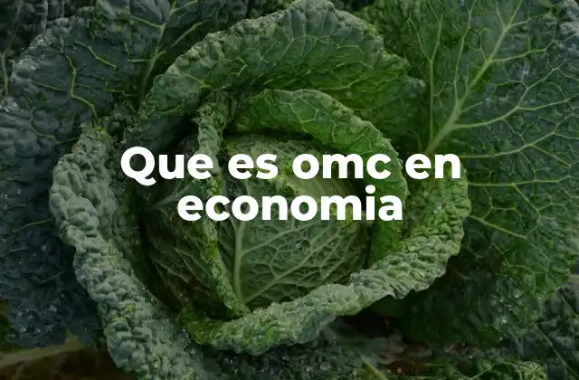 Que es Omc en Economia