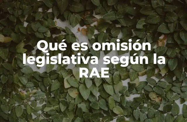 Qué es Omisión Legislativa según la Rae