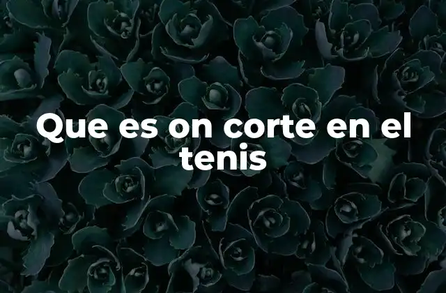 Que es On Corte en el Tenis
