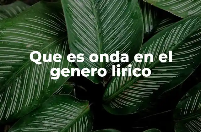 Que es Onda en el Genero Lirico