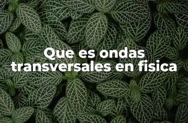 Que es Ondas Transversales en Fisica